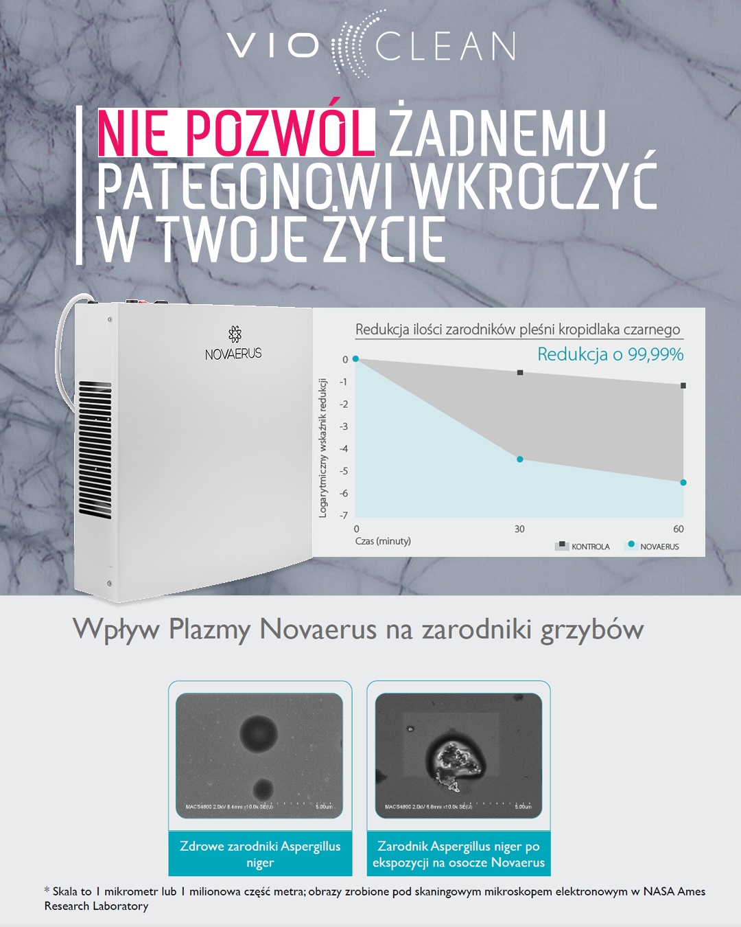 bannervio_duzyfb_kropidlak